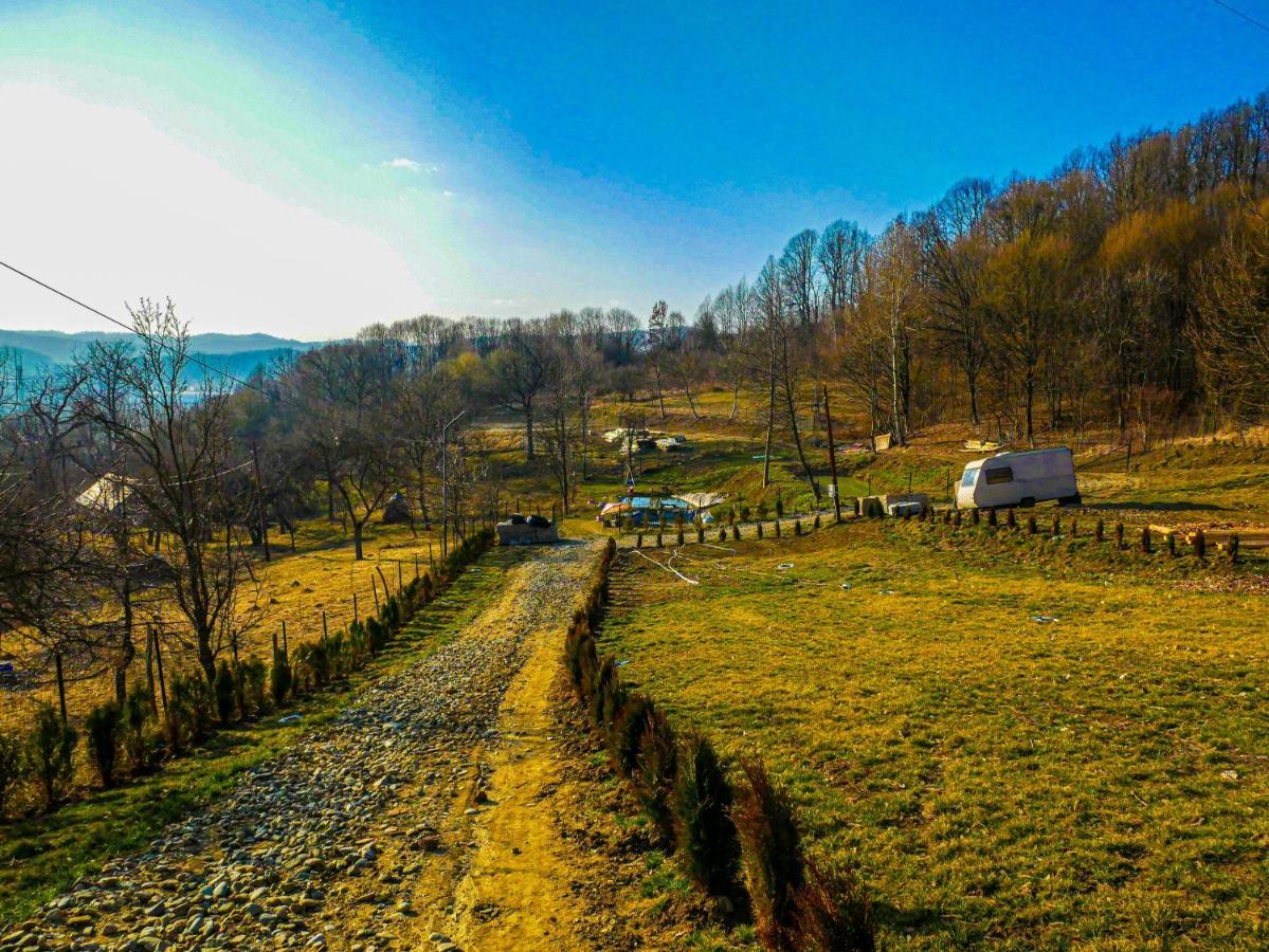 Pensiunea La Buruiana Curtea de Argeş Exterior foto